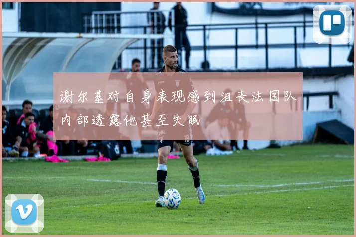 谢尔基对自身表现感到沮丧法国队内部透露他甚至失眠