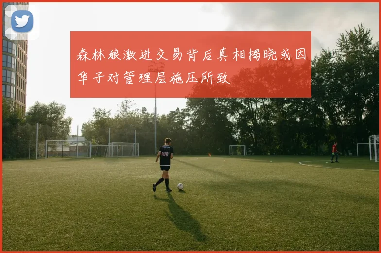 森林狼激进交易背后真相揭晓或因华子对管理层施压所致